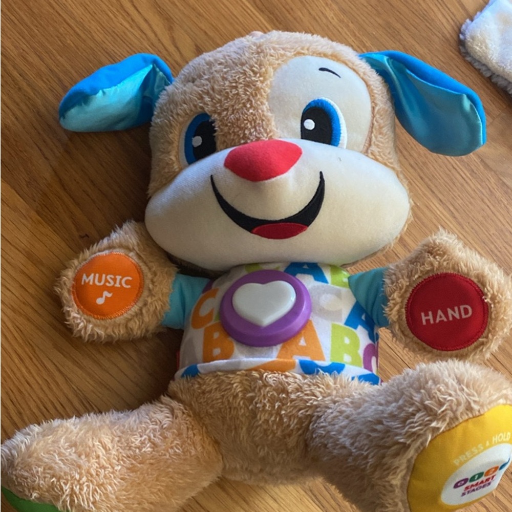 Fisher-Price Plush Puppy with Blue Ears and Red Nose